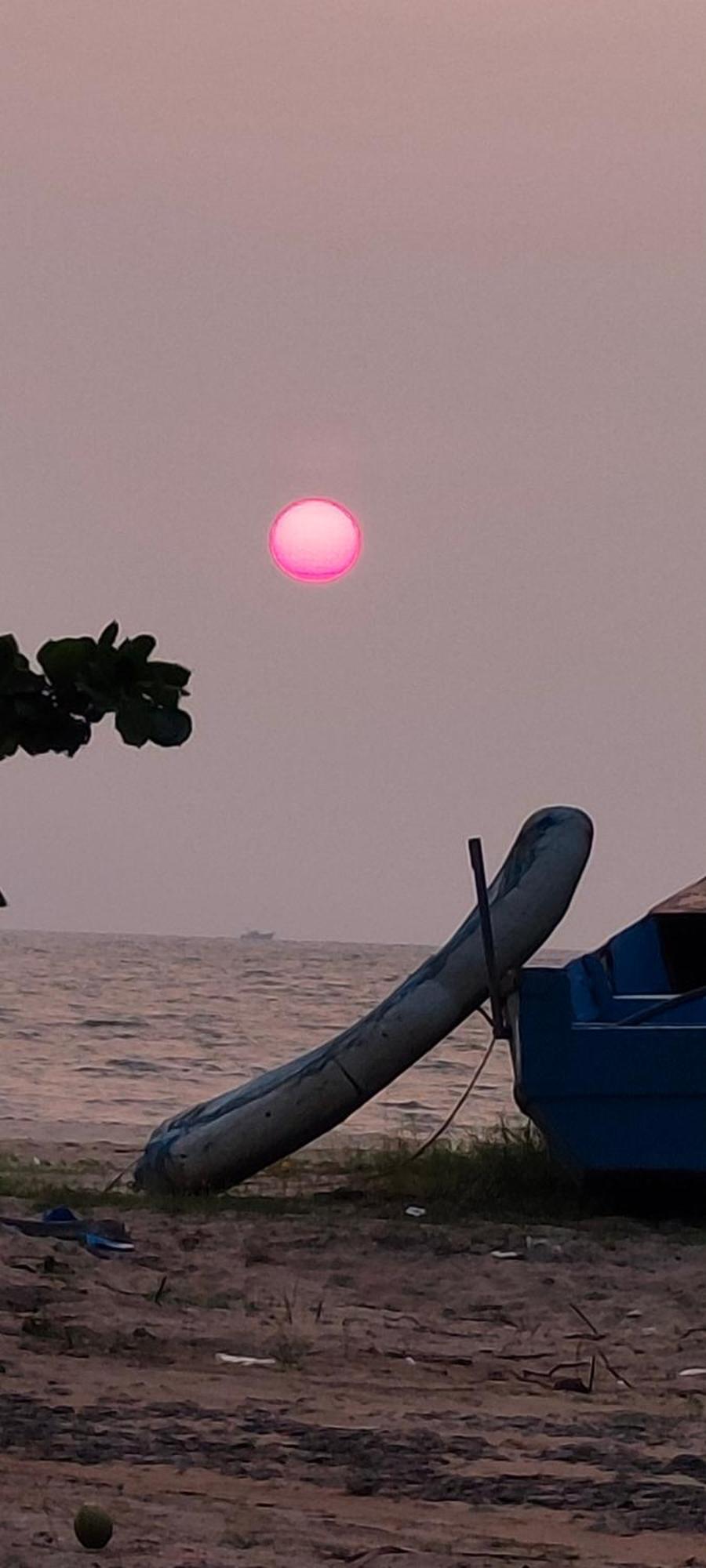Marari Blue Whale Beach House Alappuzha Luaran gambar