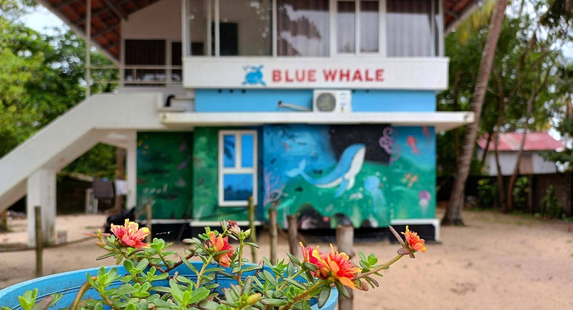 Marari Blue Whale Beach House Alappuzha Luaran gambar
